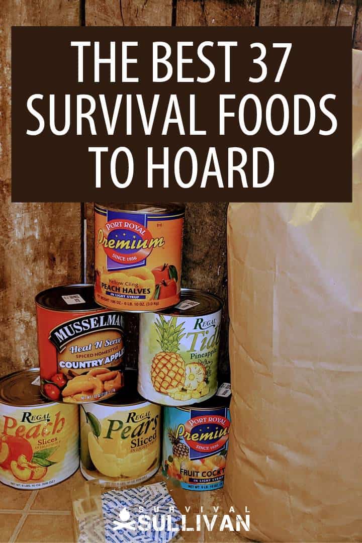 best survival foods Pinterest image 2
