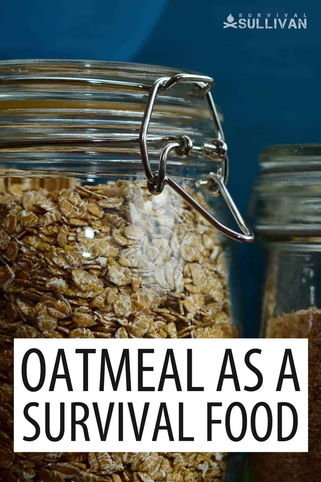 oatmeal survival food pinterest