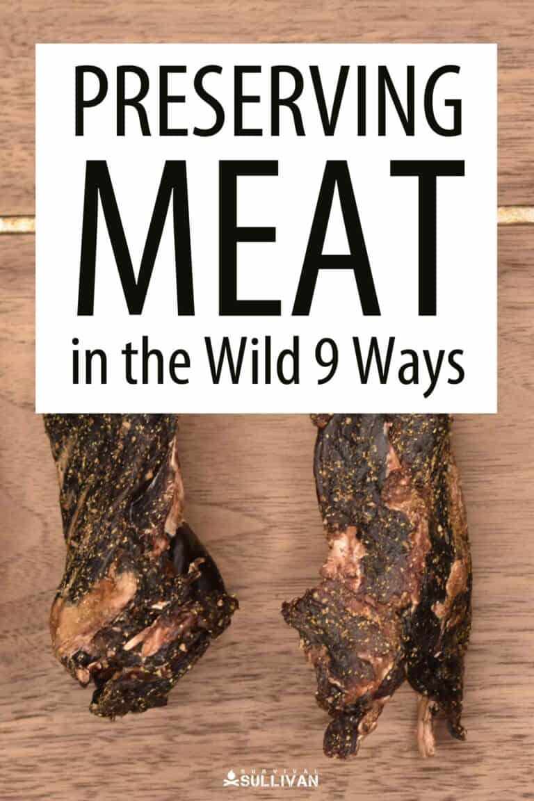 meat preservation pin image