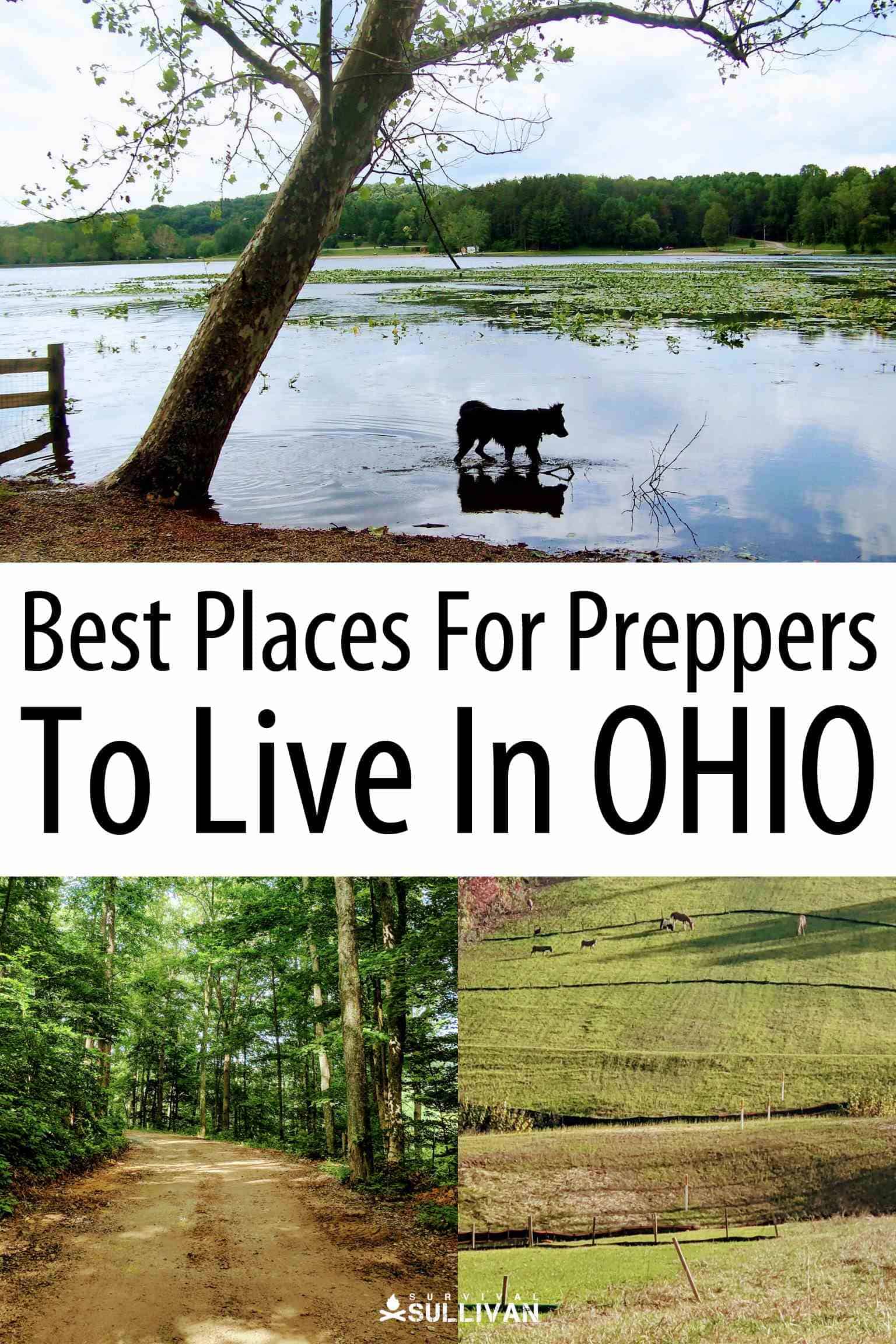 Ohio places for preppers Pinterest image