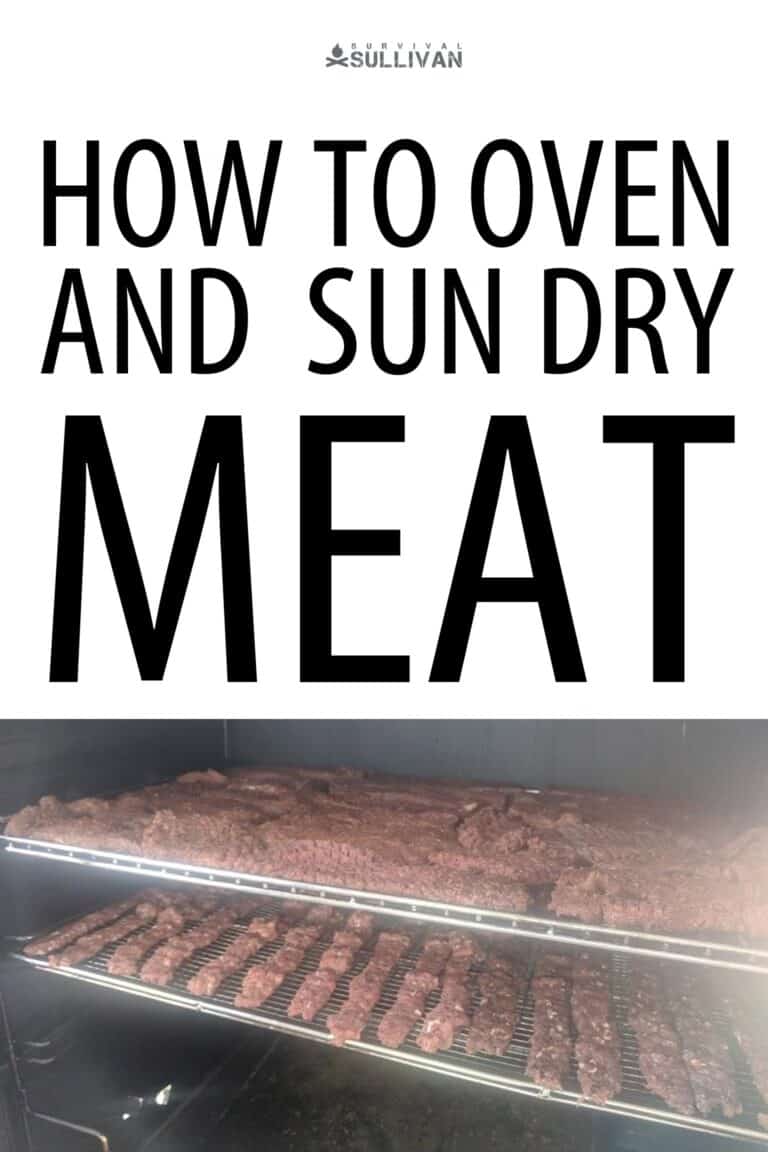 oven sun-drying meat Pinterest image 2