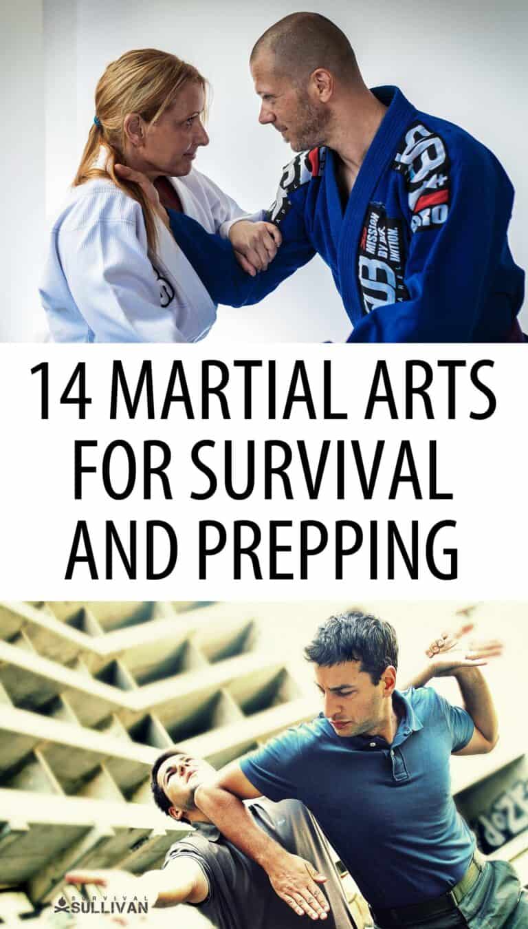 prepper martial arts
