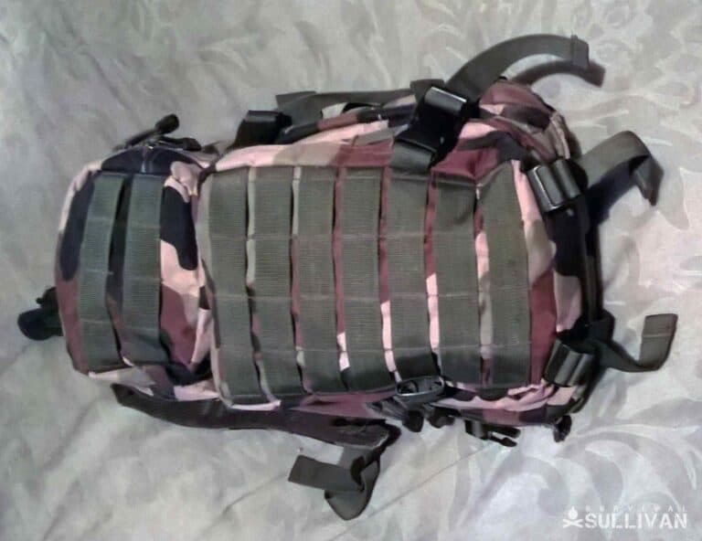backpack with molle webbing on its back