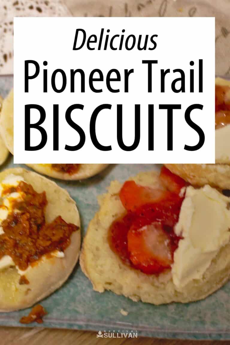 pioneer biscuits Pinterest image