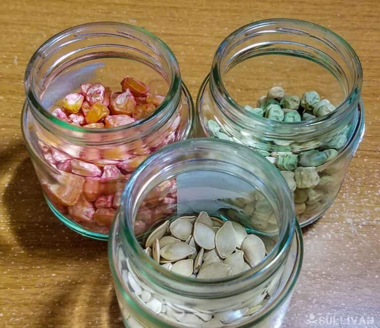 seeds in three glass jars