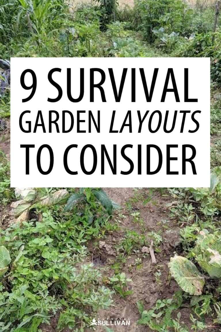 survival garden layouts Pinterest image
