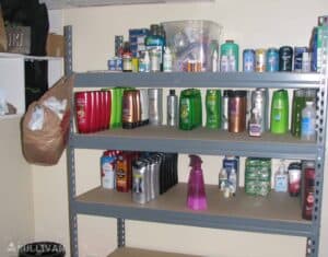 hygiene items on pantry shelves shampoo shower gel mouthwash toothpaste etc