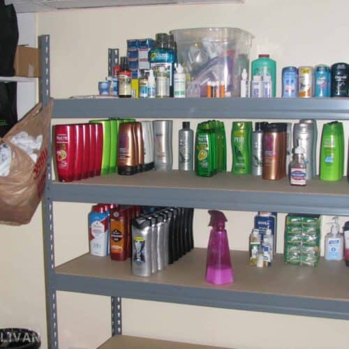 hygiene items on pantry shelves shampoo shower gel mouthwash toothpaste etc