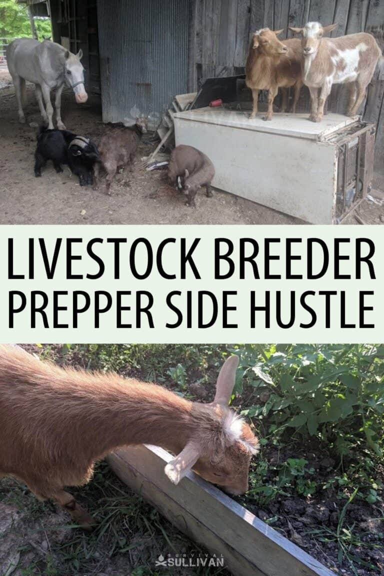 livestock breeder side hustle pin
