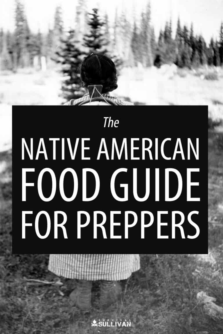 Native American food guide Pinterest image