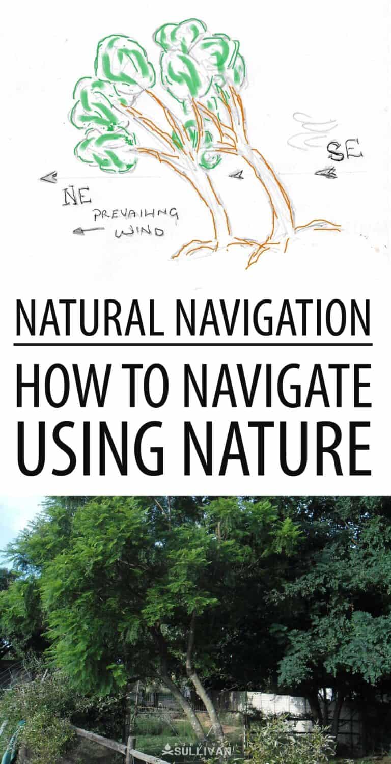natural navigation Pinterest image