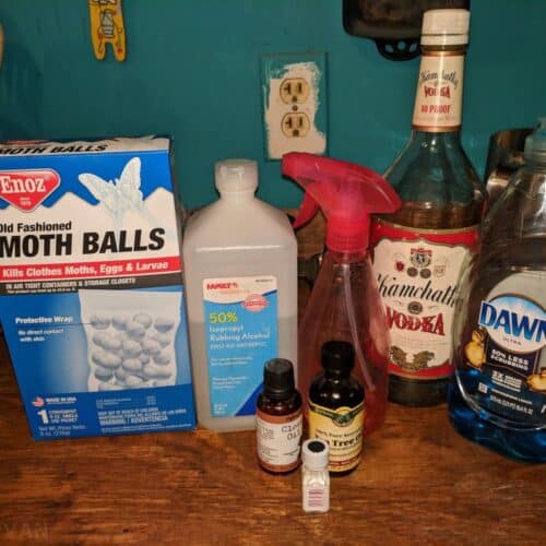anti-rodent spray ingredients