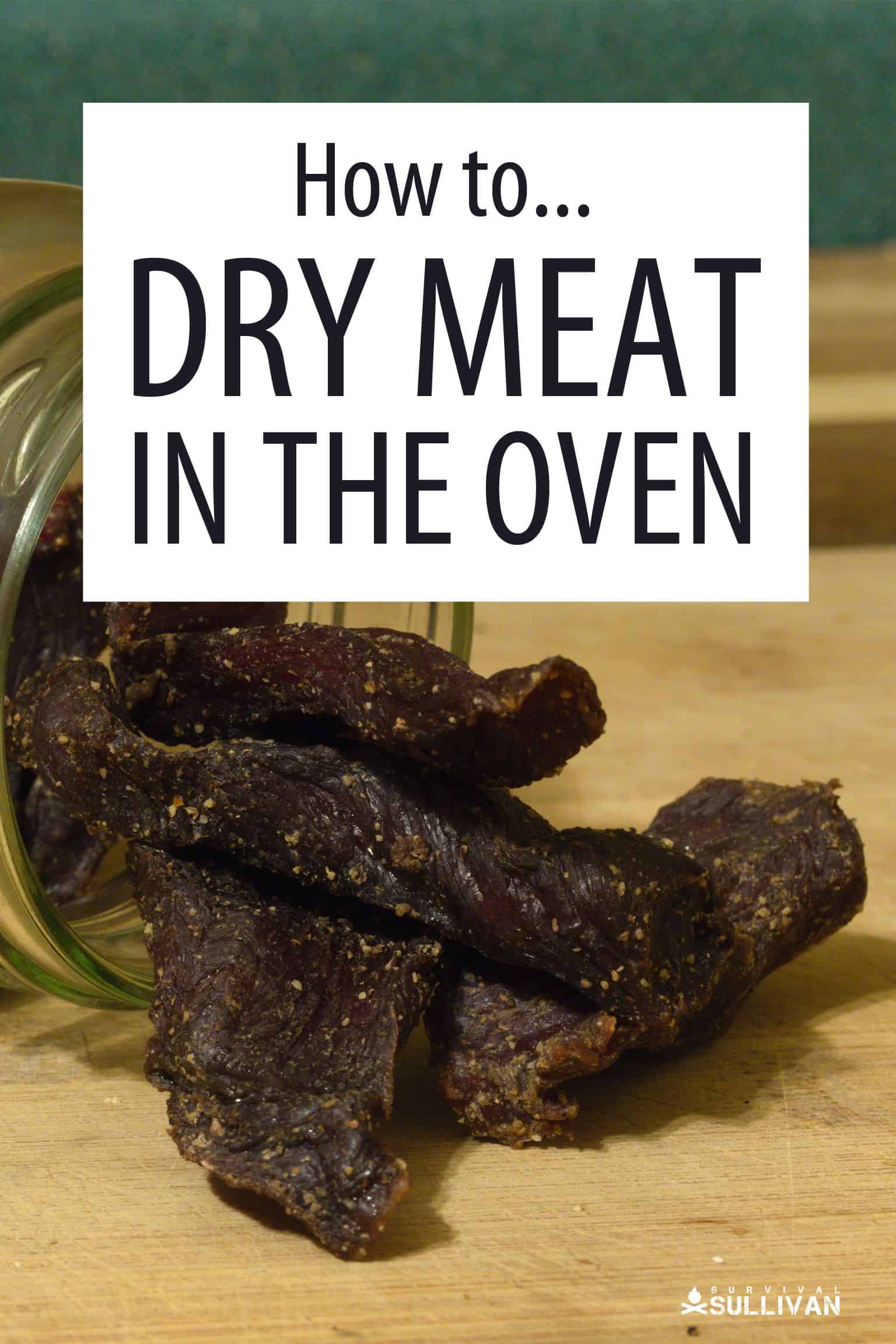 drying meat oven Pinterest image 