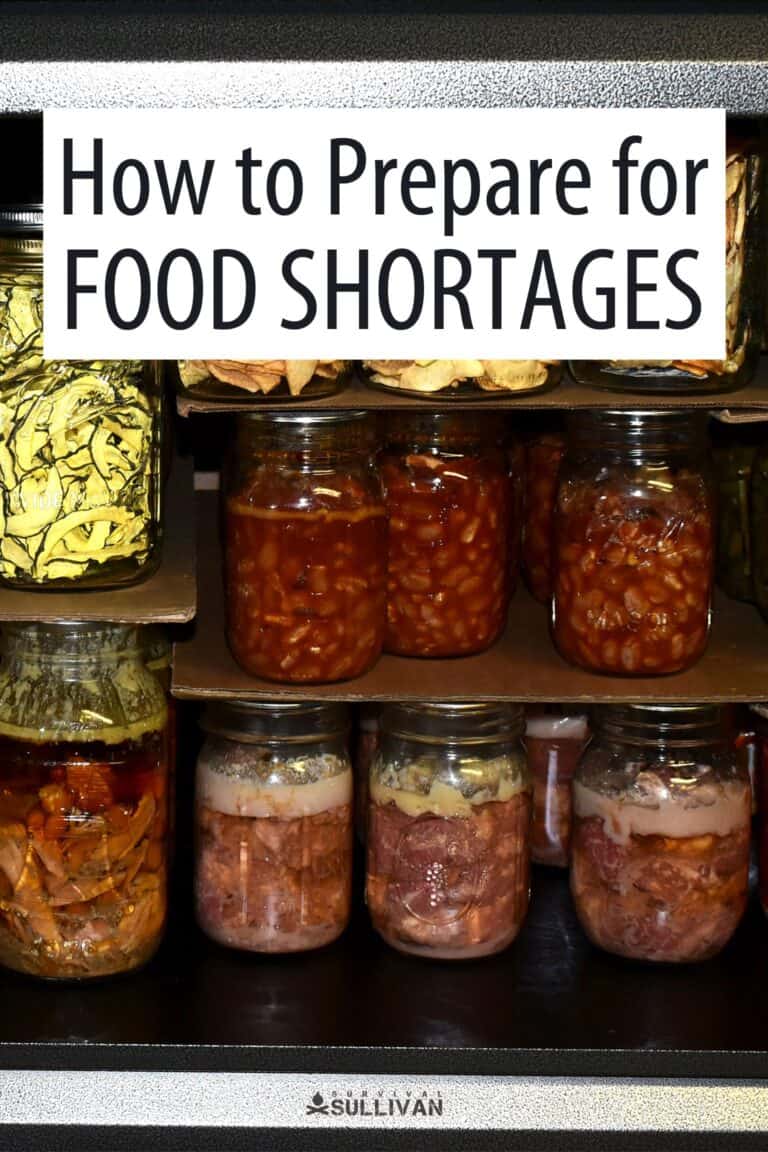 food shortages Pinterest image