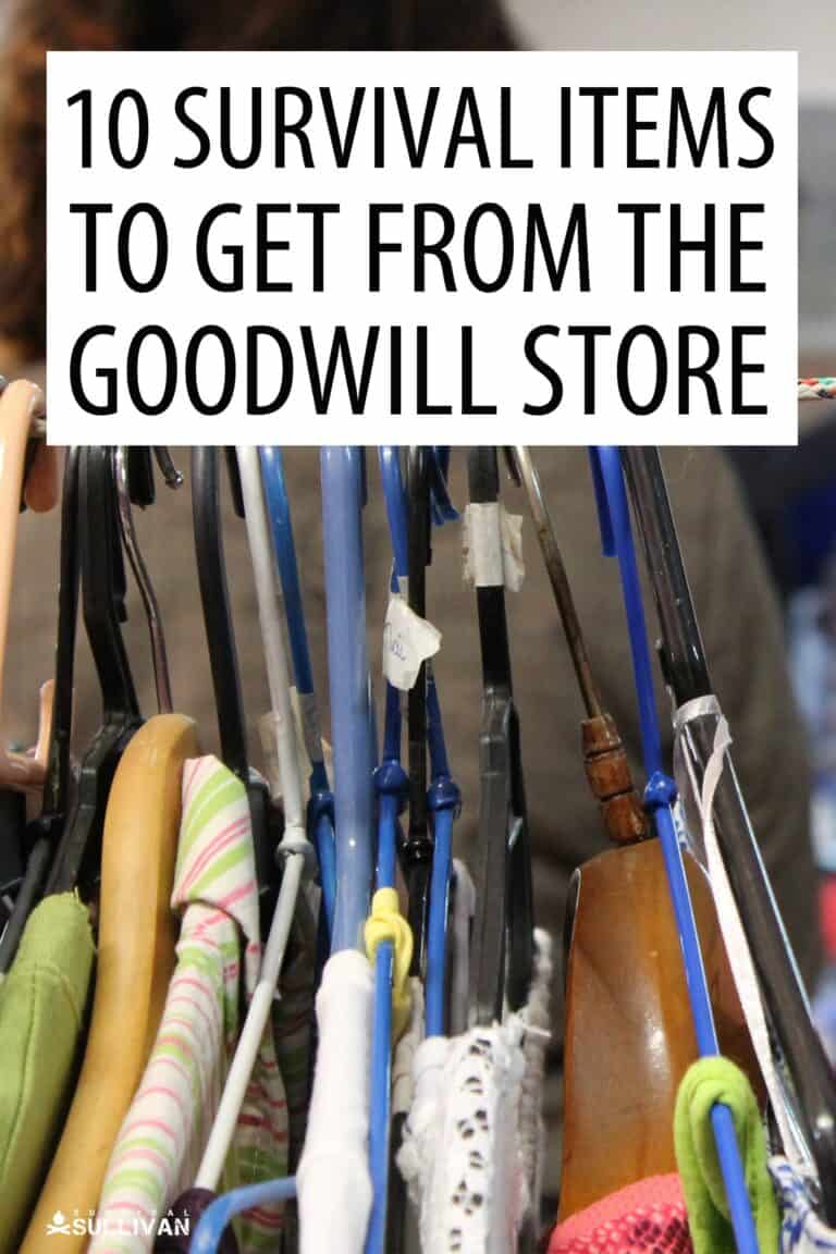 goodwill store survival items Pinterest image