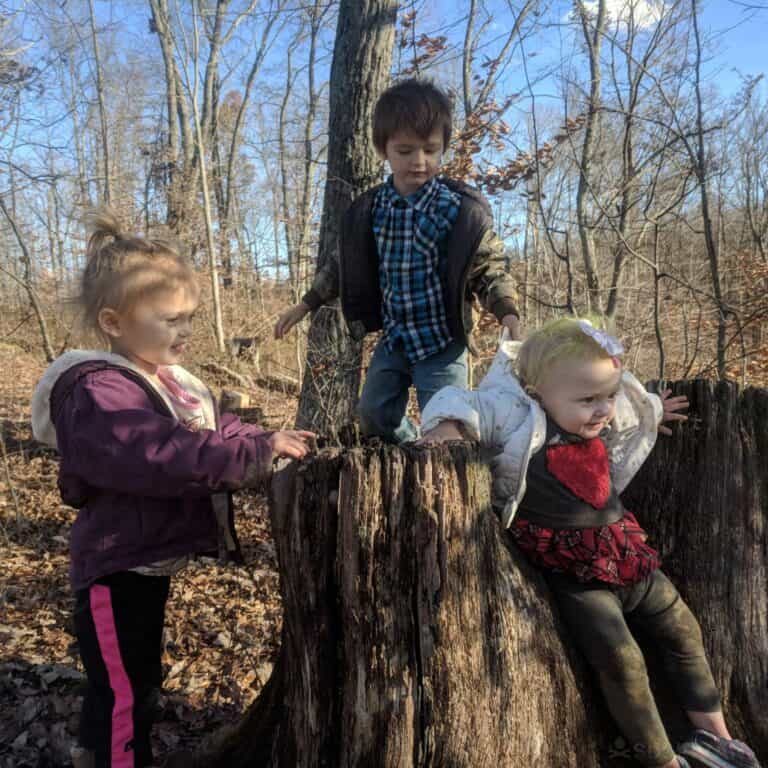 toddlers in the woods on tree stump