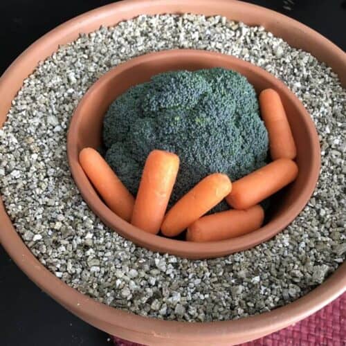 zeer pot filled with carrots and broccoli
