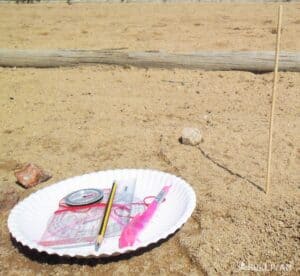 compass, stick, stone, paper plate, pencil, and ruler to make a sundial