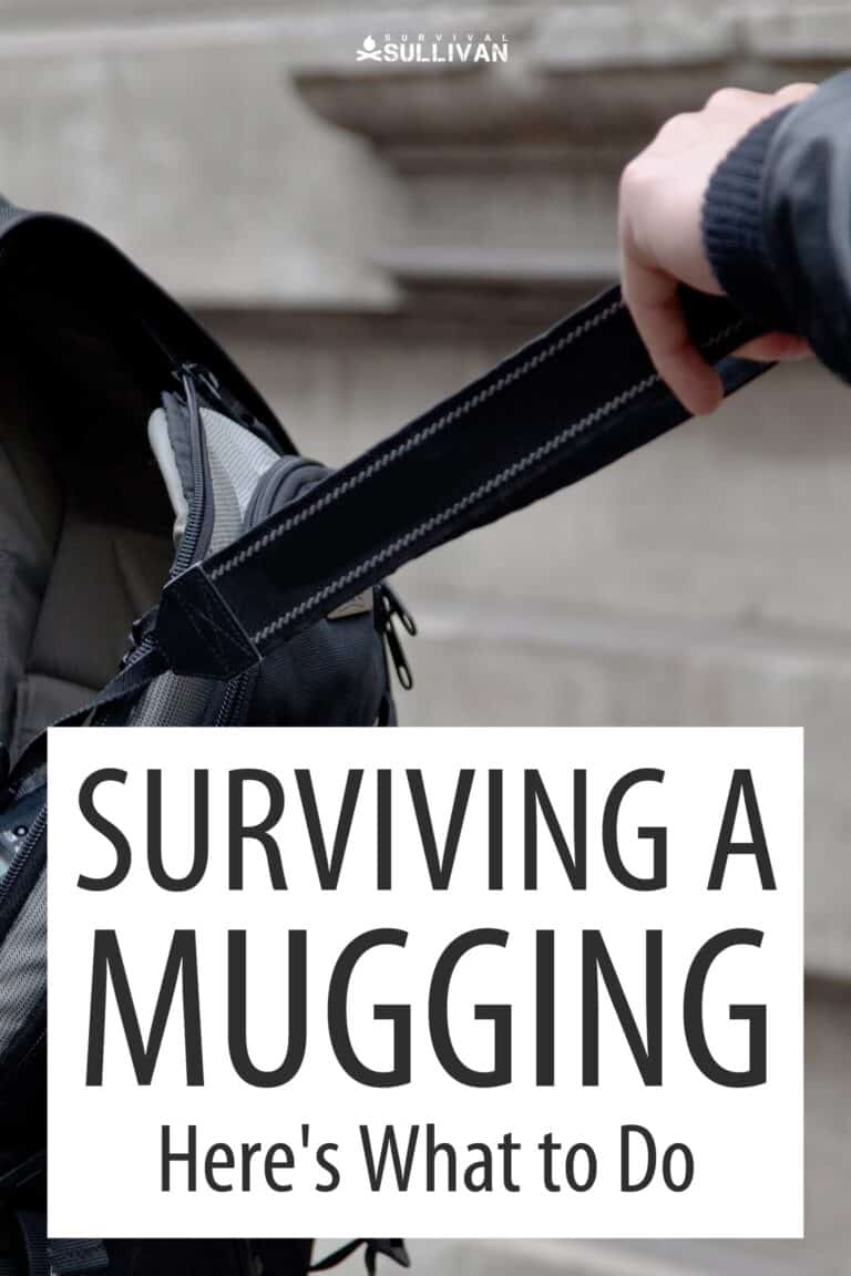 mugging survival Pinterest image