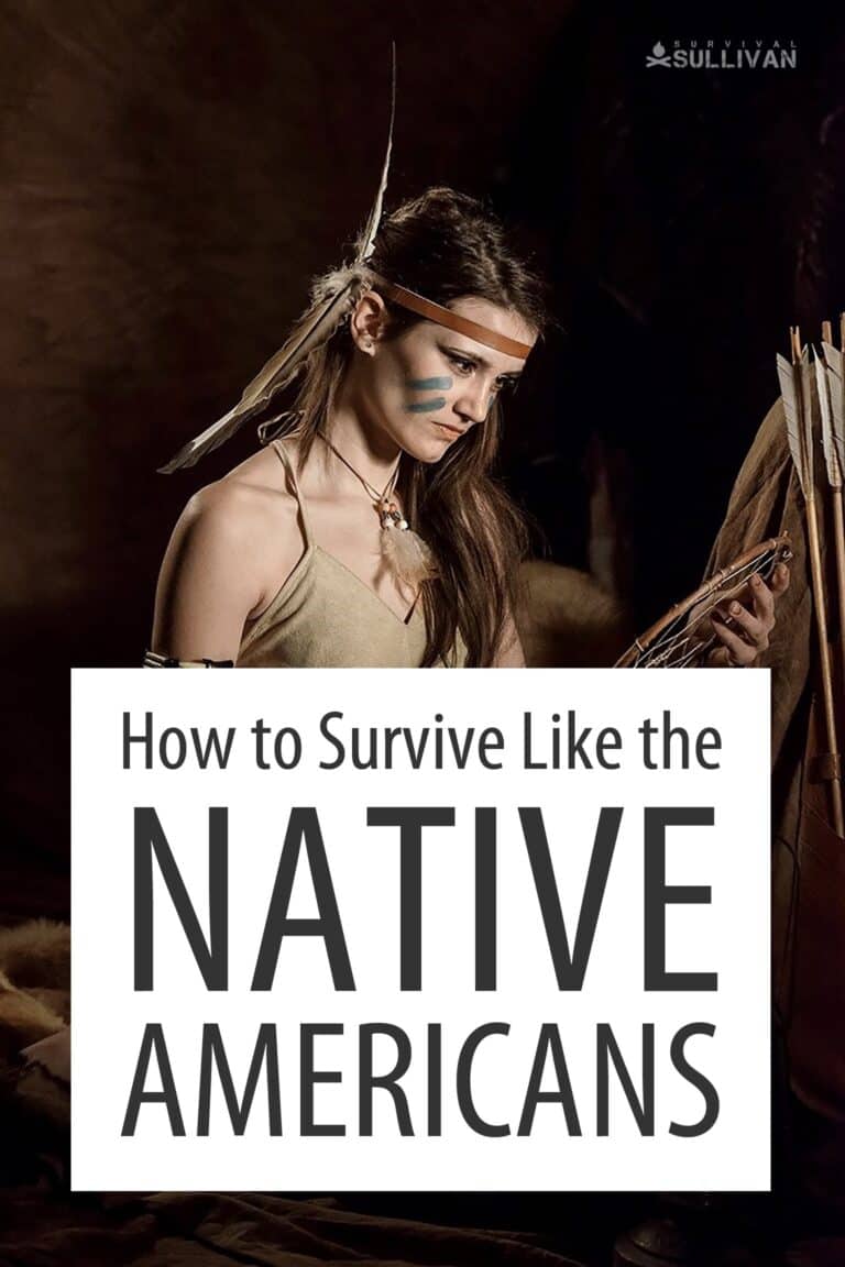 Native American survival Pinterest image 