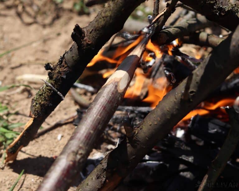 forging spear stick in fire