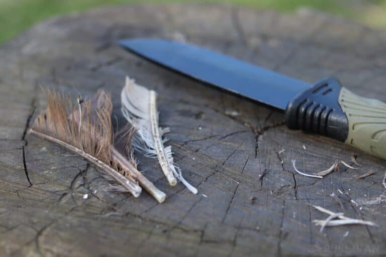 three cut feathers next to knife
