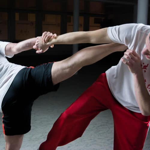 two men practicing martial arts indoors
