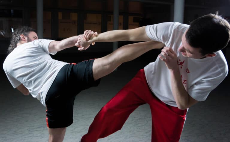 two men practicing martial arts indoors