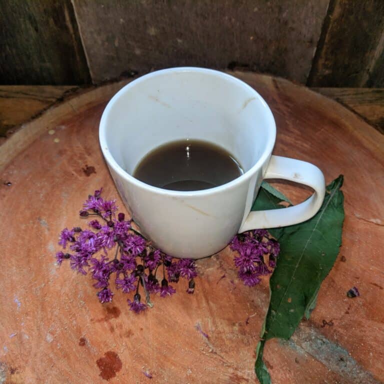 a cup of ironweed tea