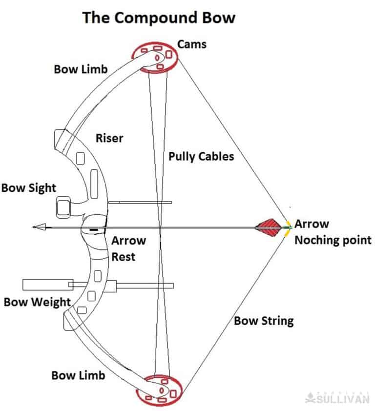 compound bow anatomy