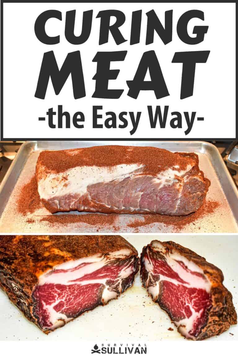 curing meat the easy way pinterest