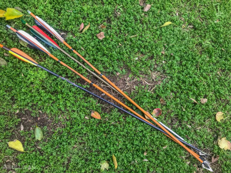 four arrows in grass