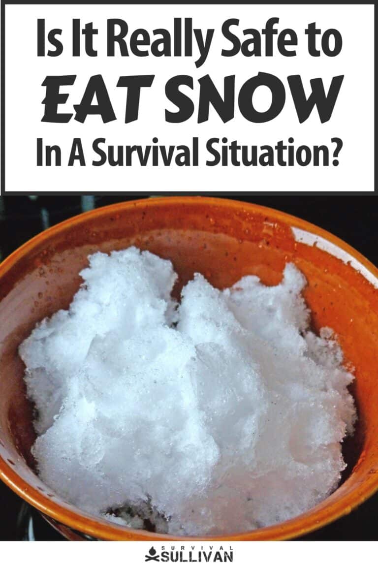 is it safe to eat snow on pinterest