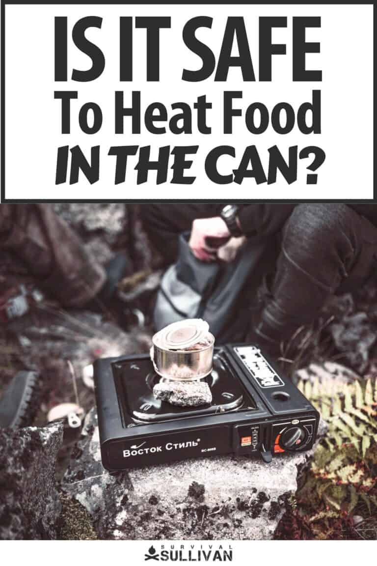 is it safe to heat food directly in the can pinterest