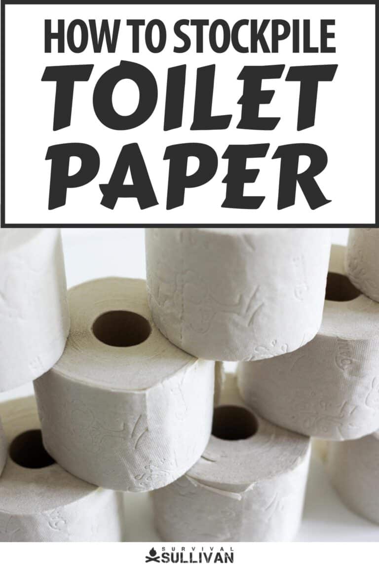 stockpile toilet paper pinterest