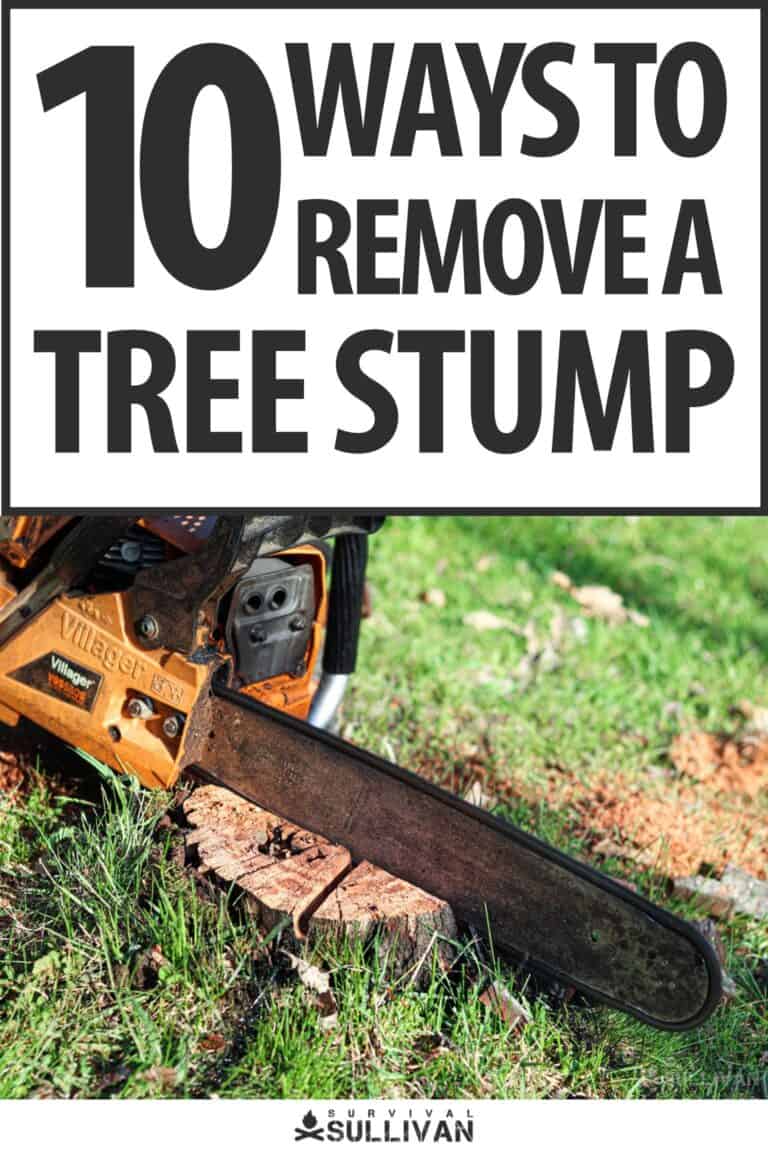 ways to remove a tree stump from your property