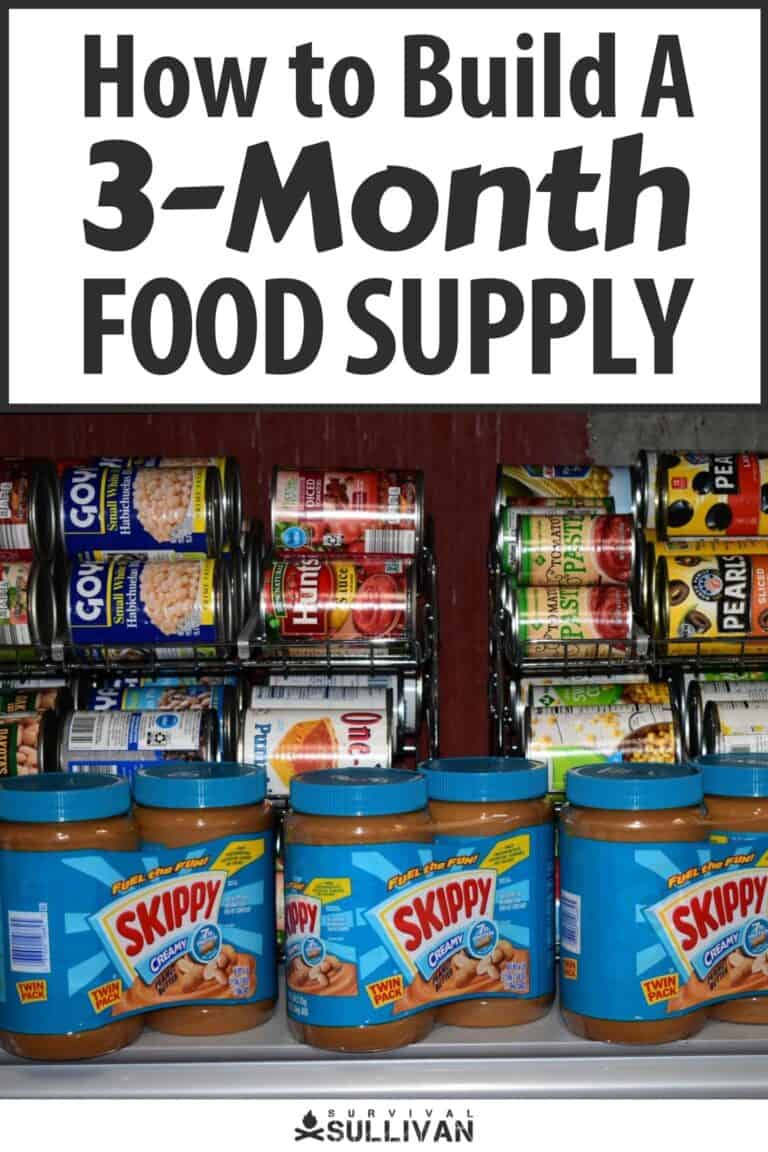 3-month food supply pinterest
