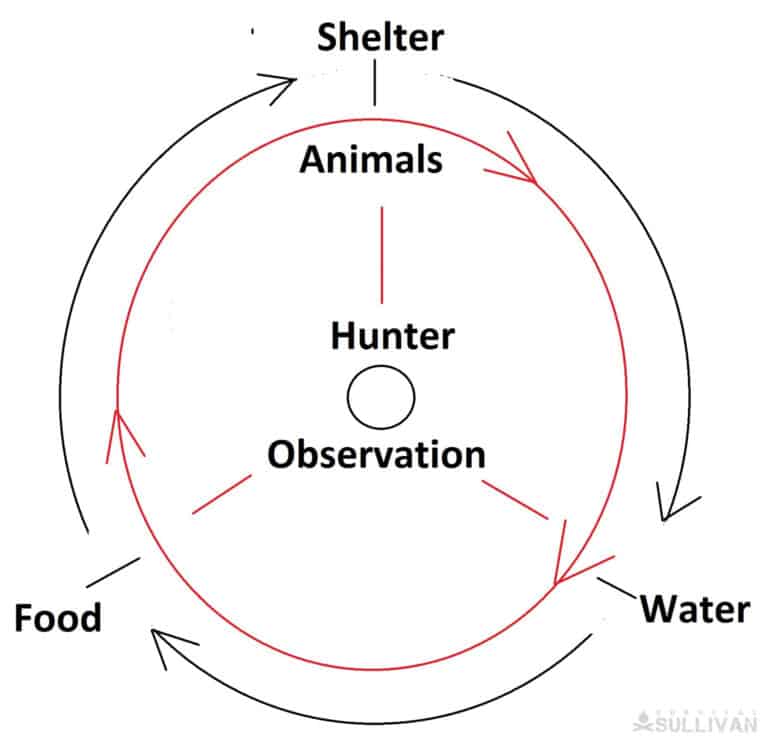 basic survival needs diagram