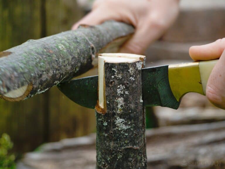 batoning maple wood