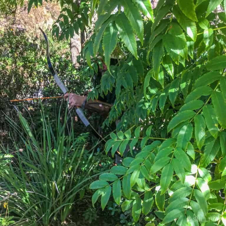 man hiding in the bush with bow and arrow completely hidden