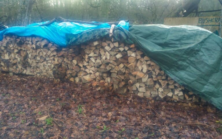 stacked firewood covered with tarps