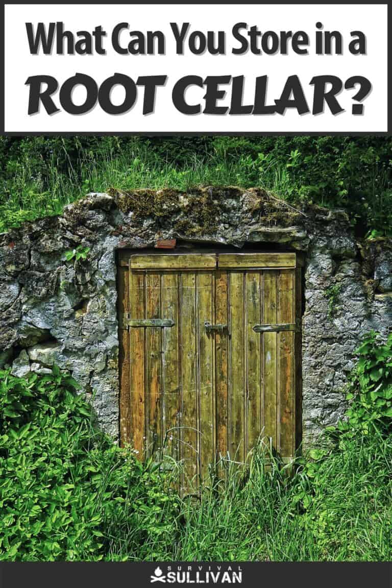 root cellar storage pinterest
