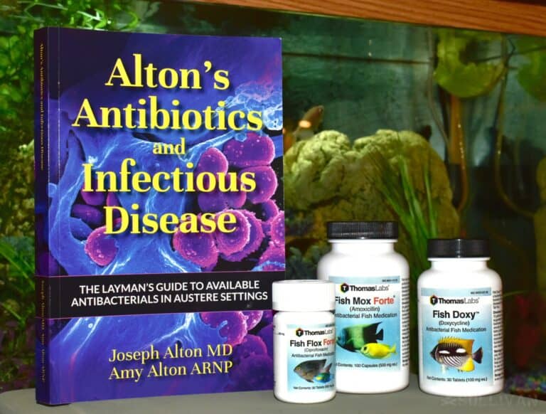 Alton's antibiotics book with fish antibiotics next to it