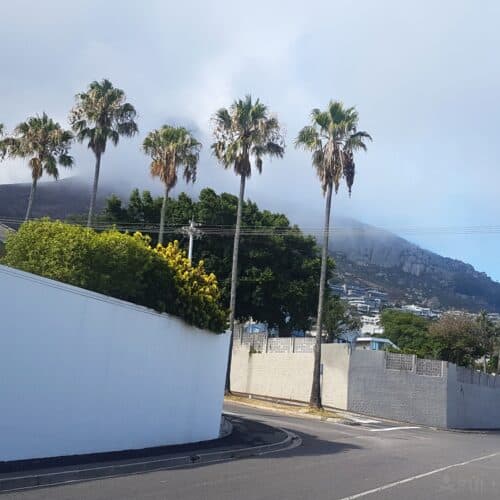 houses with tall concrete fences in Cape Town