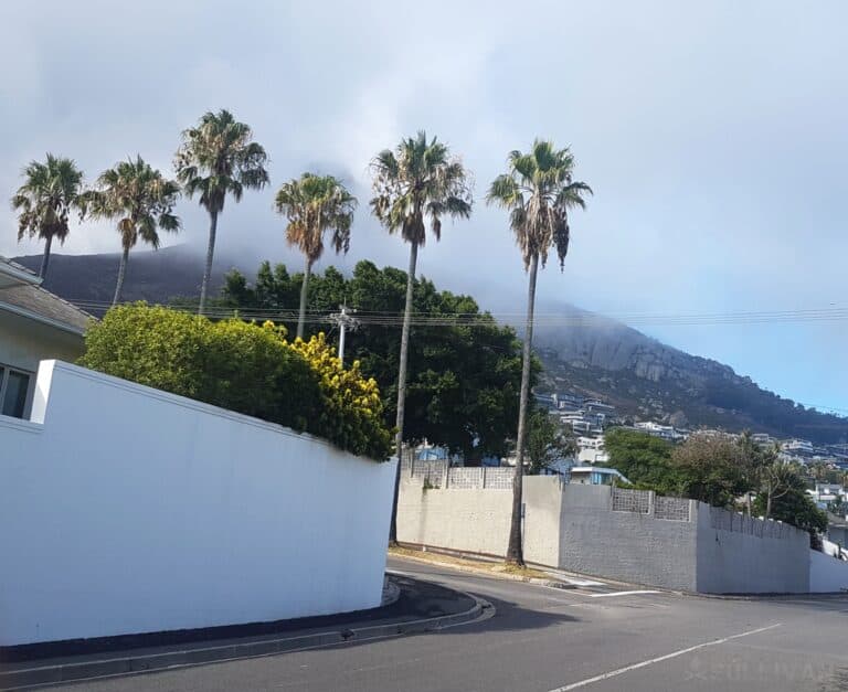 houses with tall concrete fences in Cape Town