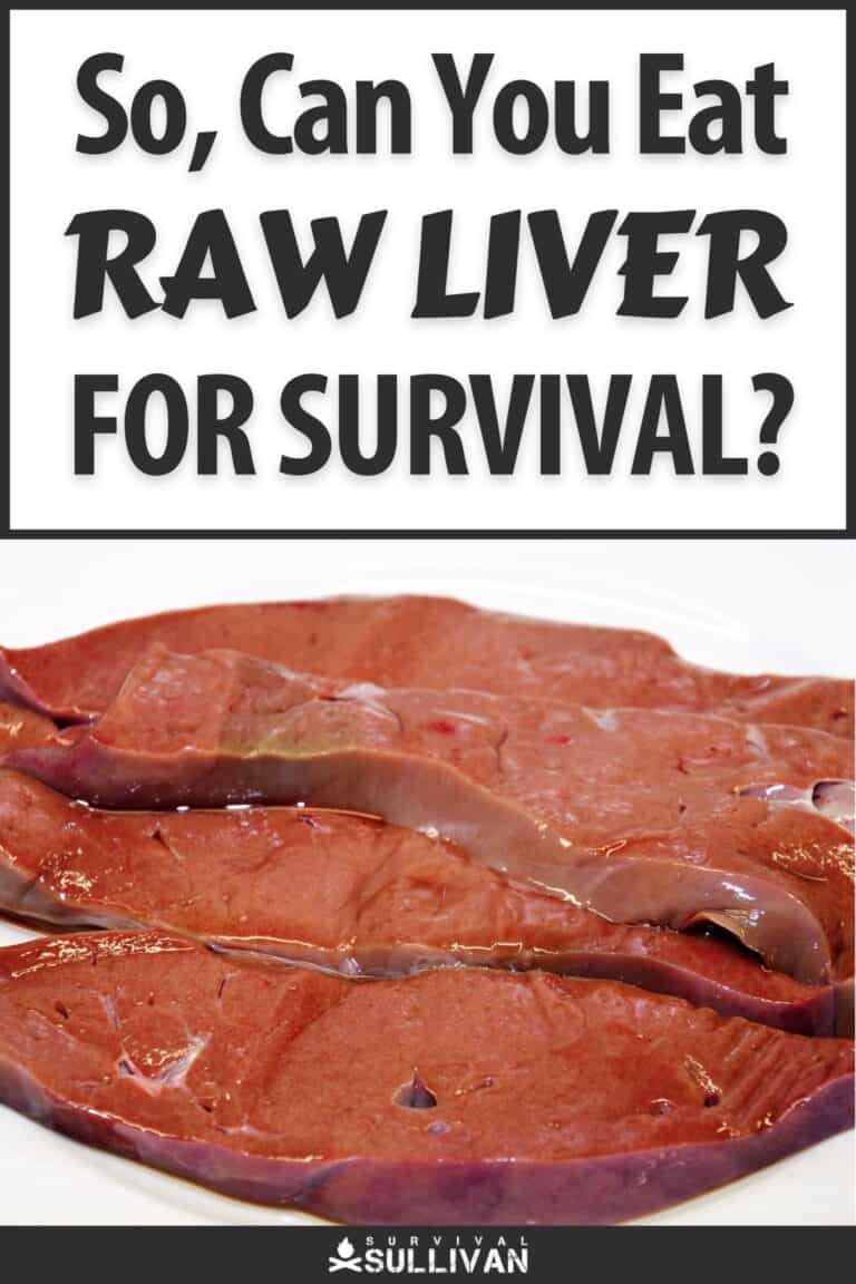 raw liver for survival pinterest