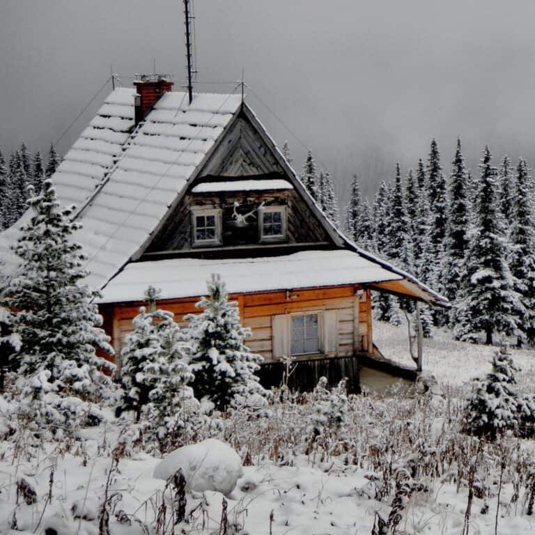 cabin in the woods during winter