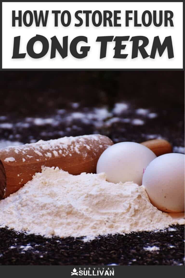 store flour long term pinterest