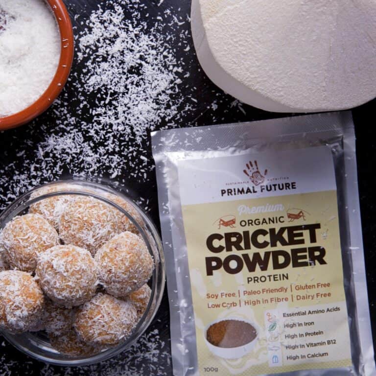 primal future cricket powder