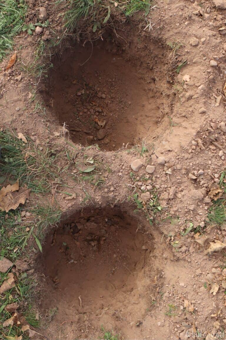 two holes of Dakota fire pit seen from above for size comparison